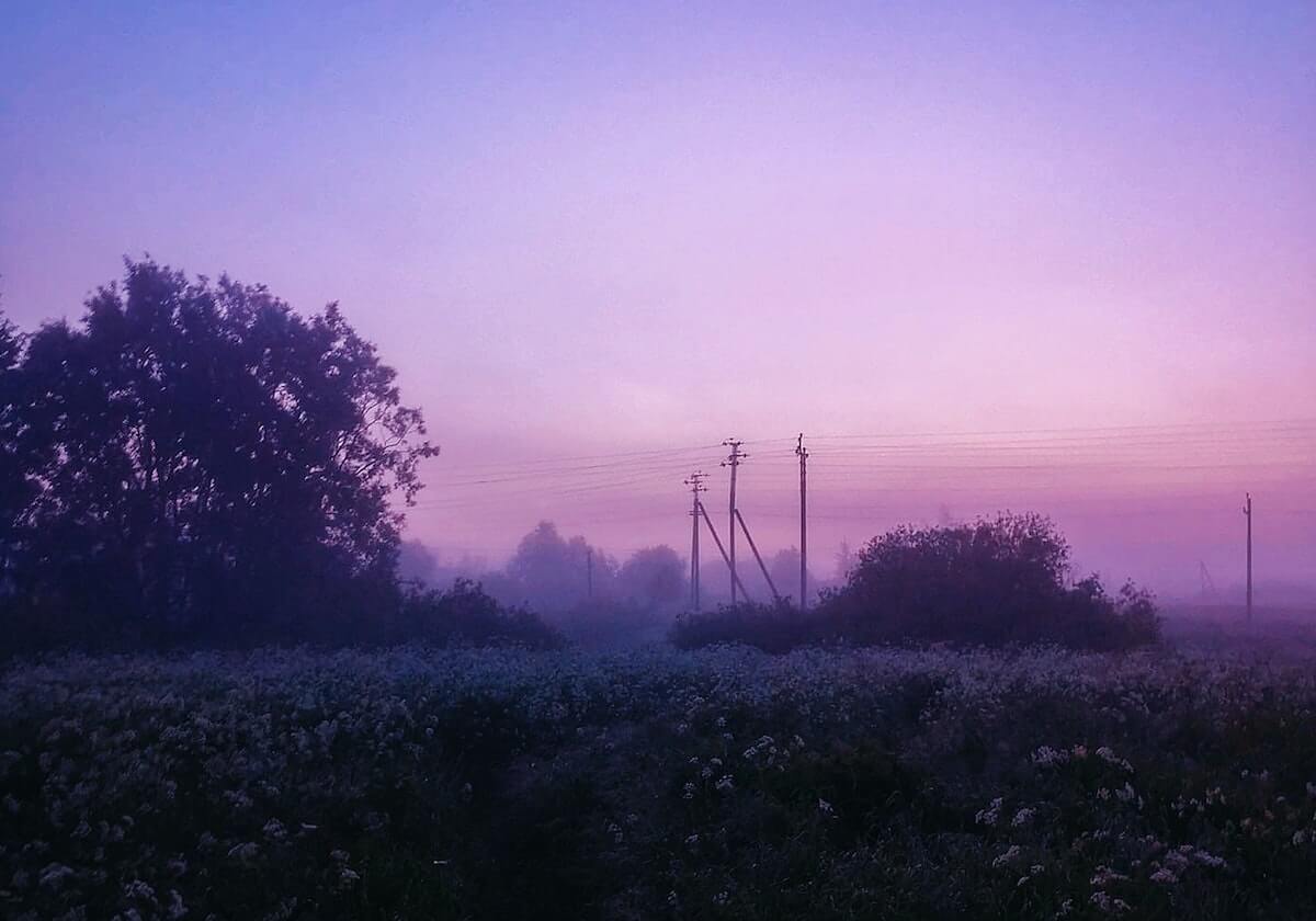 我把黑料漫画关键词投放跑了一遍：搬运号如何套壳出现了这些规律（给自己留退路）