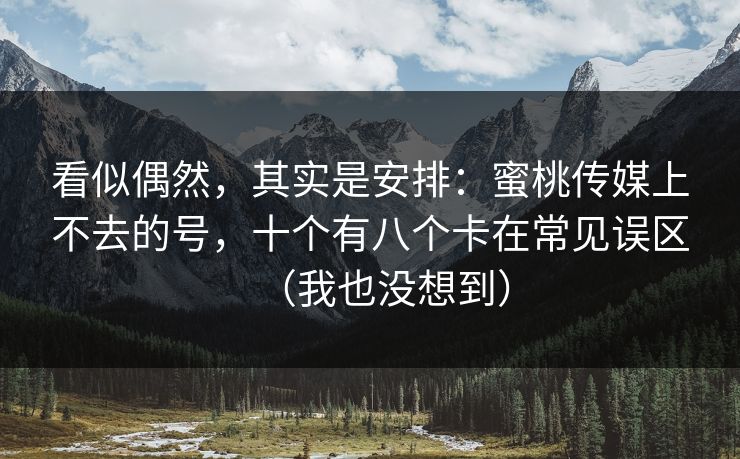 看似偶然，其实是安排：蜜桃传媒上不去的号，十个有八个卡在常见误区（我也没想到）