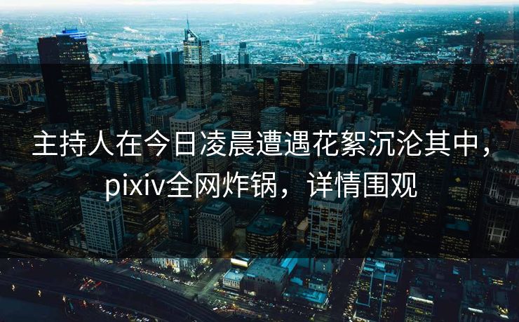 主持人在今日凌晨遭遇花絮沉沦其中，pixiv全网炸锅，详情围观