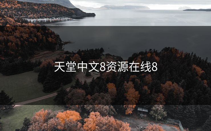 天堂中文8资源在线8